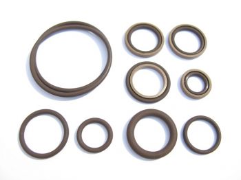 Beisan Systems S54 Vanos Seals Repair Kit