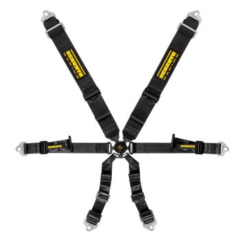 Schroth Profi 3 x 2 Race Harness (Black)